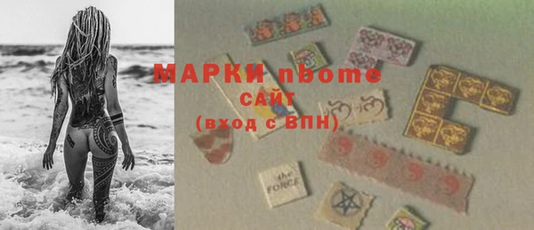 хмурый Аркадак