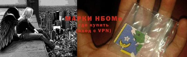 хмурый Аркадак