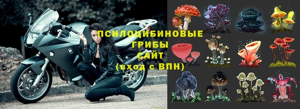 героин Алзамай
