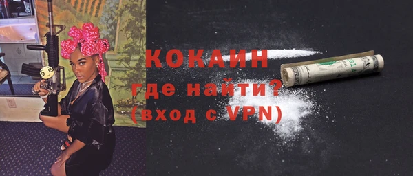 хмурый Аркадак