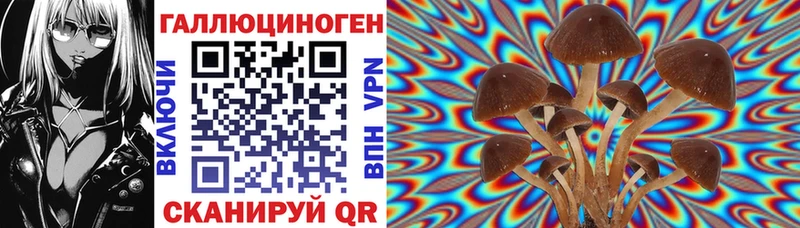 Купить где  Белоярский  Галлюциногенные грибы Magic Shrooms 