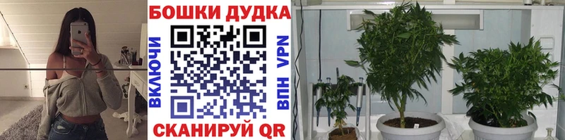 Купить где  Белоярский  Шишки марихуана Ganja 